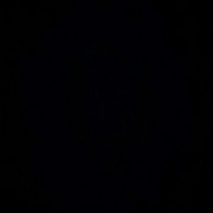 Meet your Posher, Ariana